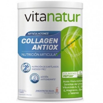 Vitanatur Collagen Antiox...